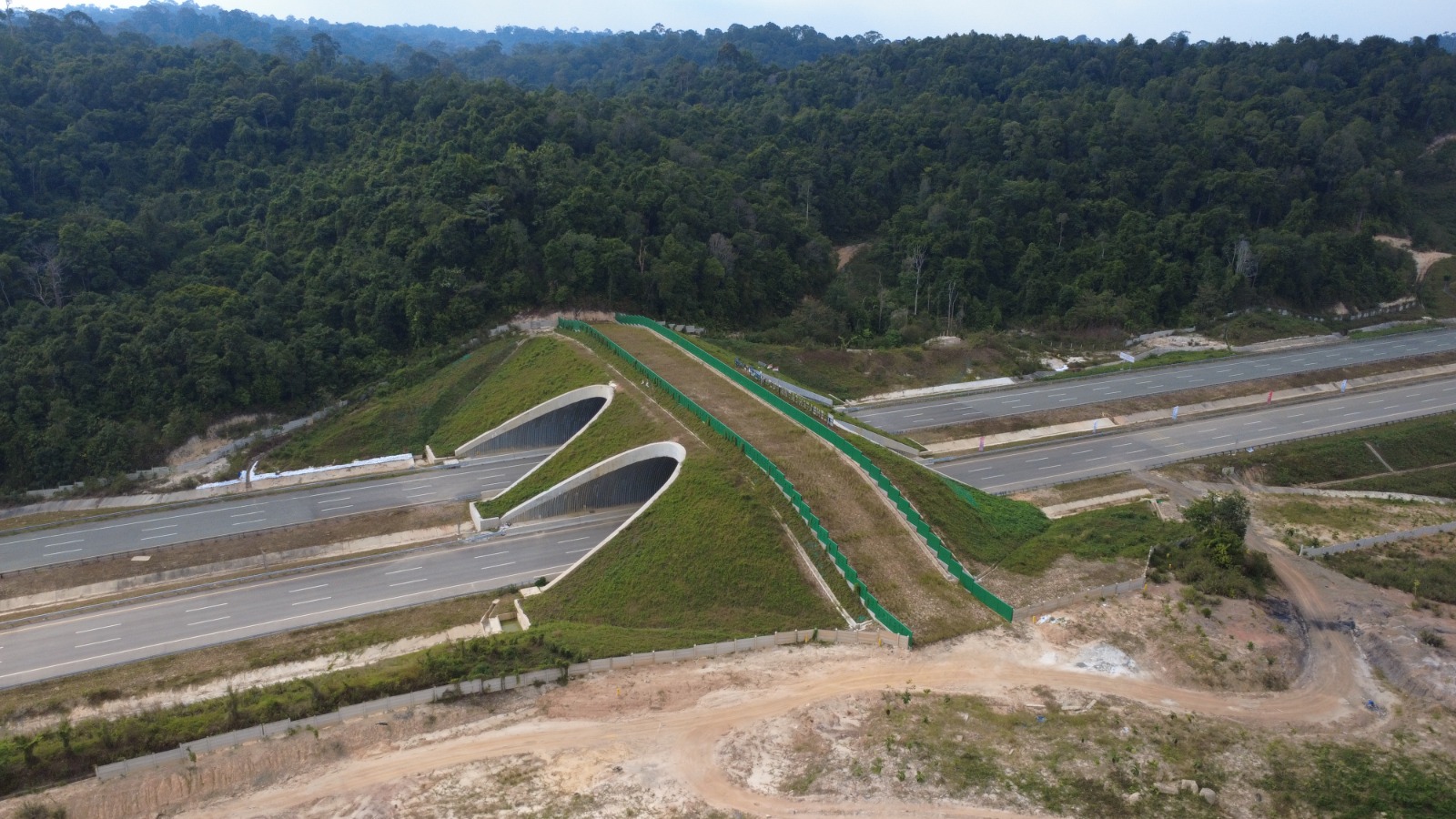 Jembatan / koridor satwa yang dibangun Kementerian PU untuk keperluan satwa melintas.