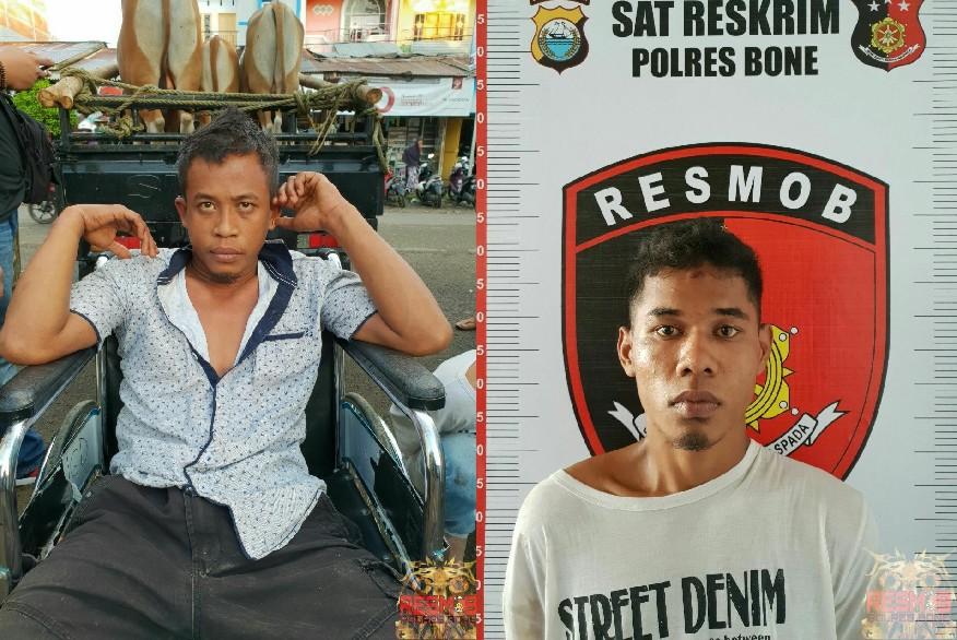 Nggak Kapok, Residivis Maling Sapi di Bone Digulung Polisi