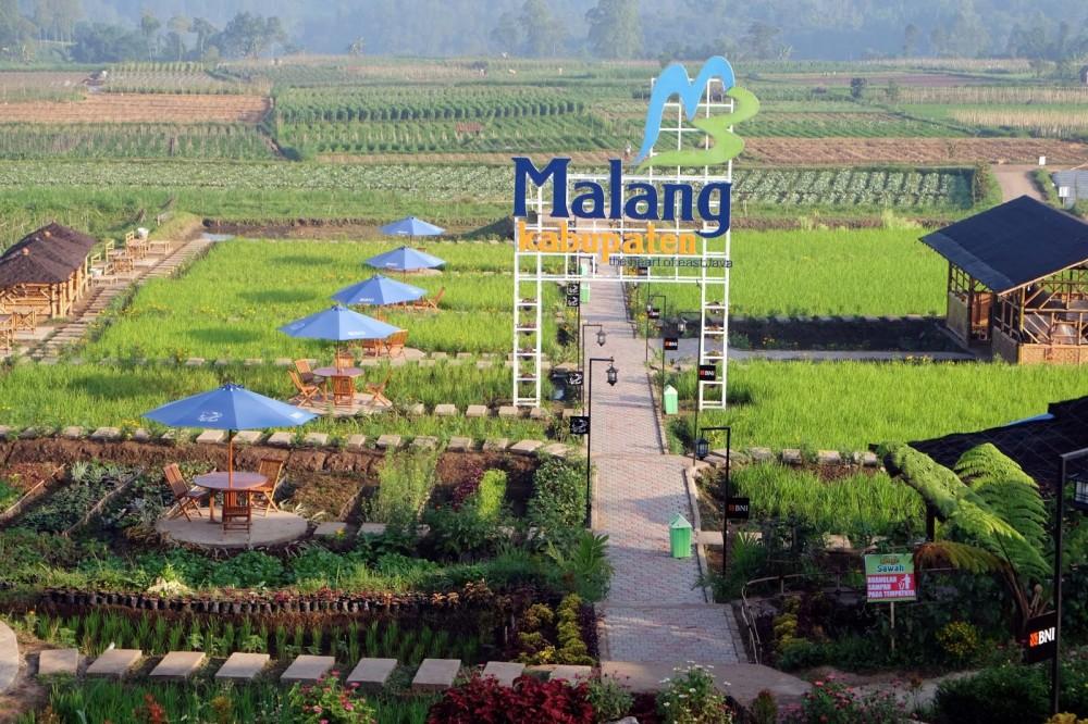 Sukses Manfaatkan Dana Desa, 10 Desa Ini Raup Pendapatan Miliaran Hingga Triliunan per Tahun