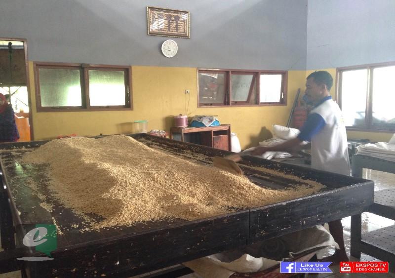 PRODUSEN TAHU TEMPE HABISKAN SETENGAH TON KEDELAI PERHARI