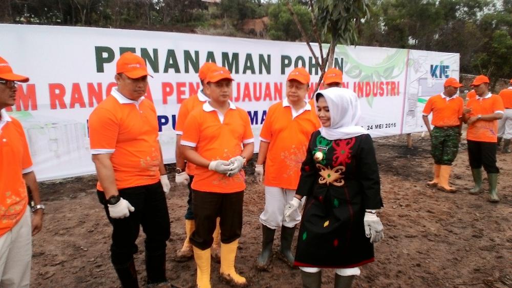 PUPUK KALTIM LAKUKAN PENANAMAN 400 POHON TREMBESI DAN MAHONI