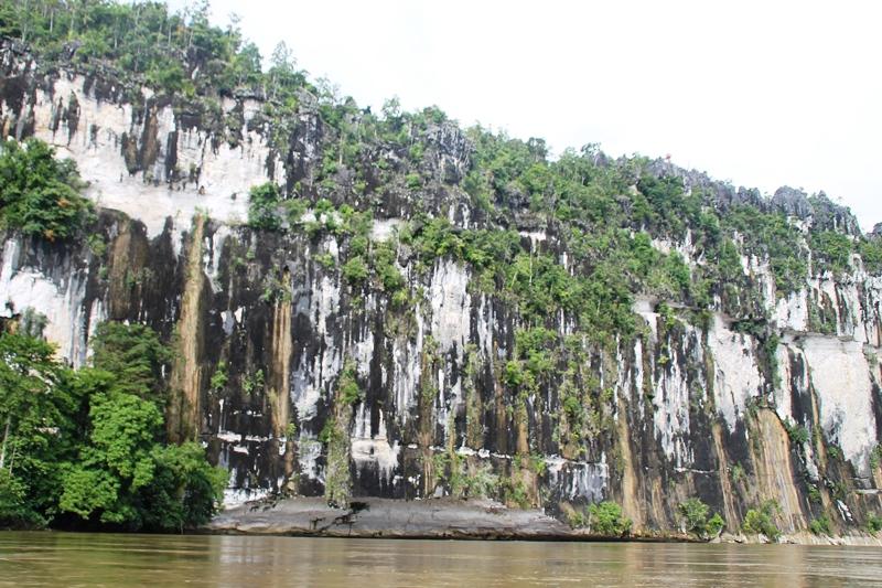 Lungun yang Tersembunyi di Balik Pesona Batu Dinding