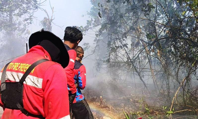 Hari Tanpa Hujan di Paser Capai 39 Hari, Mahulu dan Kubar Berpeluang Hujan