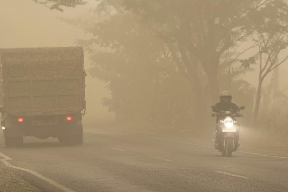 Kaltim dan Kalsel Terima Rp165 Miliar untuk Karhutla, Total Bantuan Capai Rp1,24 Triliun