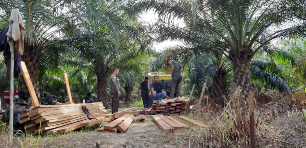 Raider 613/Raja Alam Amankan Kayu Illegal Logging