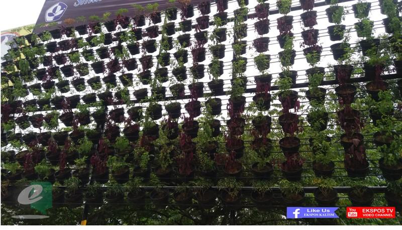 UPAYA BONTANG MENATA KOTA, TEMPAT BALEHO RAMAI DIPASANGI TANAMAN HIAS