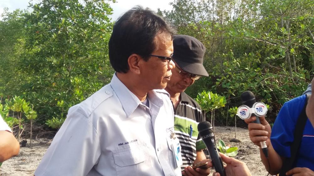 INDOMINCO GELAR PENANAMAN 10 RIBU POHON MANGGROVE