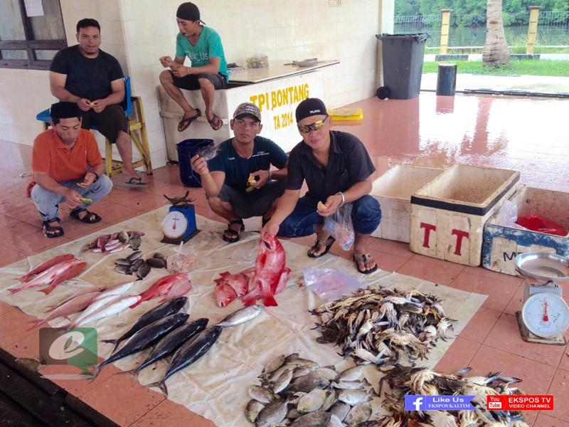 HARGA IKAN MELONJAK TINGGI, KAKAP MERAH CAPAI 60 RIBU PERKILO