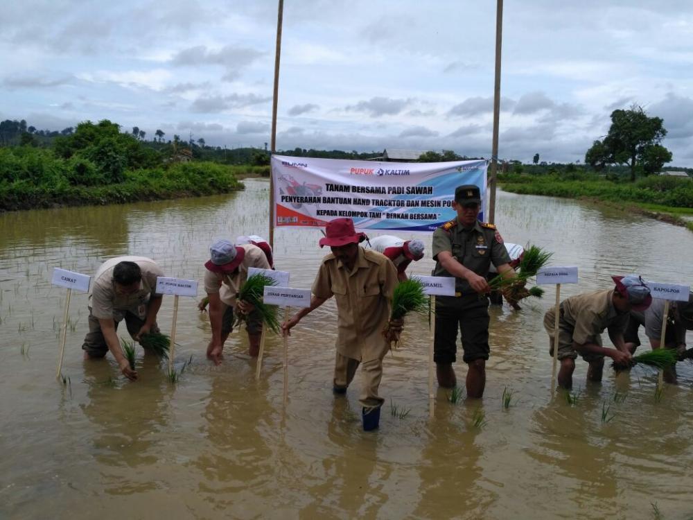 Gelar Penanaman Padi Bersama, Pupuk Kaltim Beri Bantuan ke Kelompok Tani