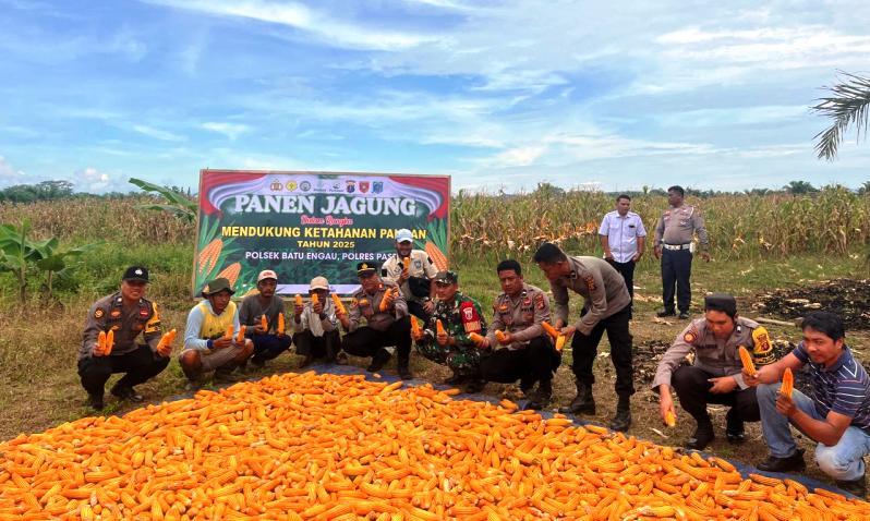 â€œBuser Garang di Ladangâ€ Panen Jagung Binaan Polres Paser