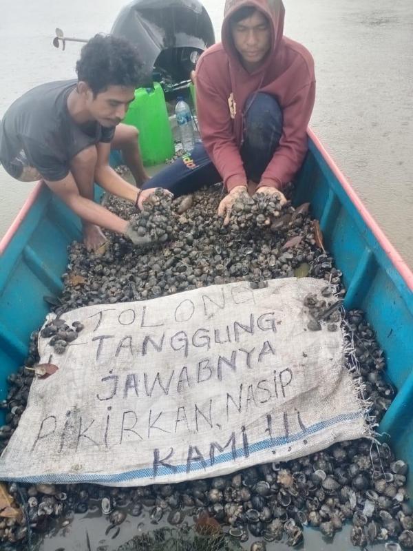 Ironi Nelayan Kerang Dara: Tak Diganti Rugi, Malah Terancam Bui