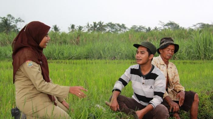 Keterbatasan Penyuluh Tak Surutkan Semangat DKP3 Bontang Bina Petani