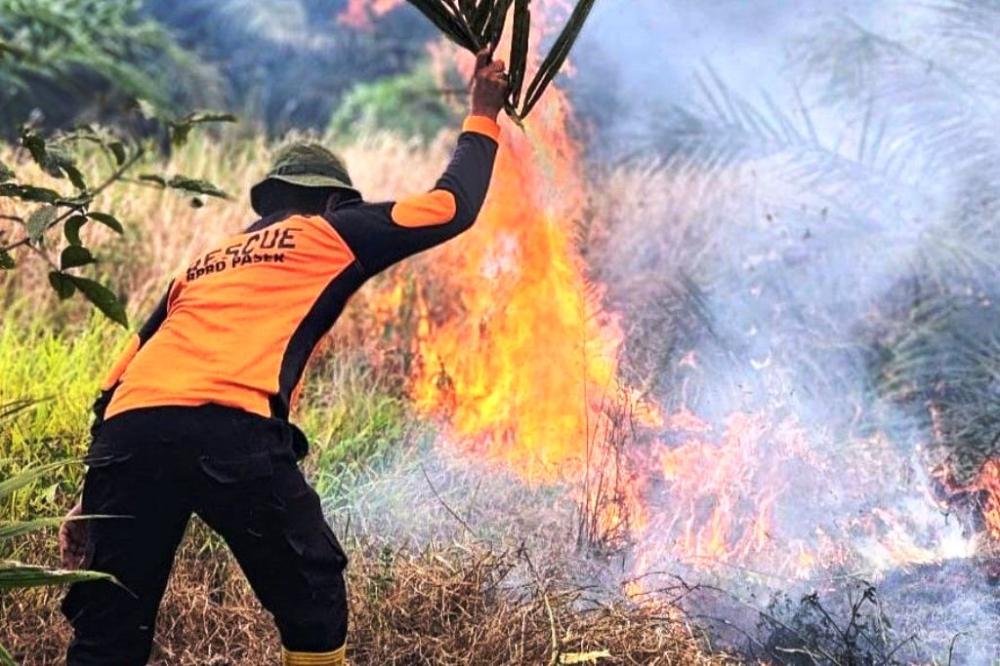 Kaltim Memanas, 151 Titik Panas Muncul dalam Sehari