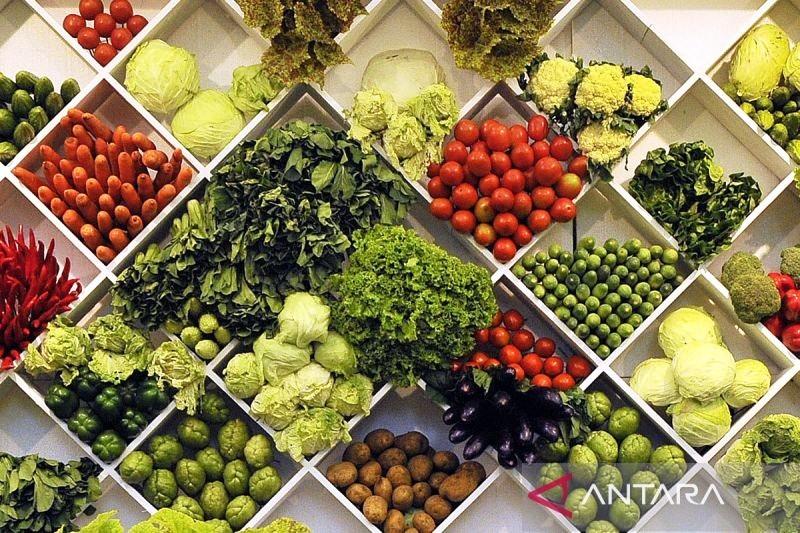 Pepaya hingga Alpukat Disarankan saat Puasa, Bantu Sistem Cerna Optimal