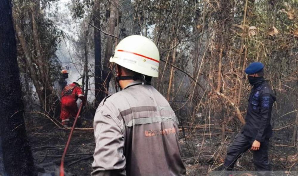 Karhutla Mengintai, IKN Terapkan Strategi Pagar Betis 