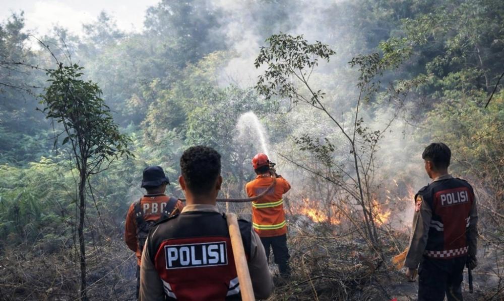 Dampak El Nino Menguat, BMKG Sebut PPU dan Balikpapan Paling Rawan Karhutla