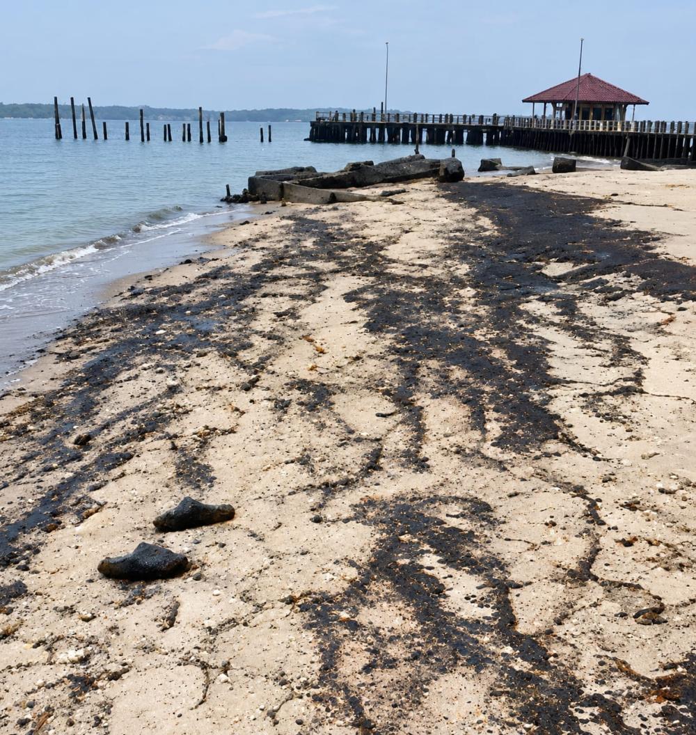 Dugaan Tumpahan Oli Cemari Pulau Beras Basah Bontang, DLH Ambil Sampel di 2 Titik