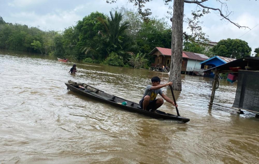 Belum Tersentuh Bantuan, Korban Banjir di Kubar Dihantui Teror Kobra