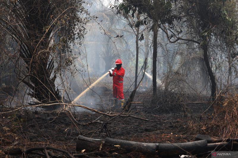 Cuaca Kaltim-Kalsel Kontras, Samarinda Berawan Sementara Banjarmasin Masih Berkabut