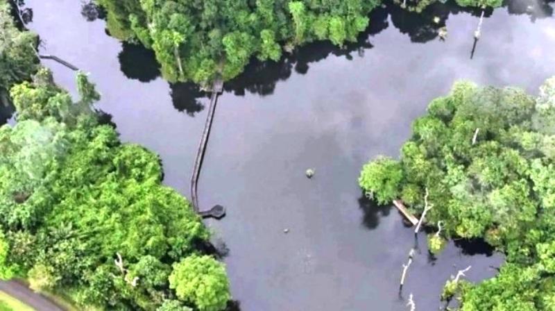 Gubernur Kaltim Dorong Void Eks Tambang Diolah Jadi Air Minum, JATAM: Cuci Dosa