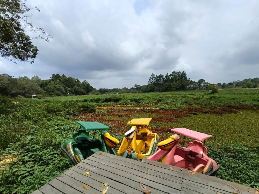 Waduk Manggar Dipenuhi Gulma Saat Kemarau, BWS Ajukan Rp3 Miliar ke Pusat