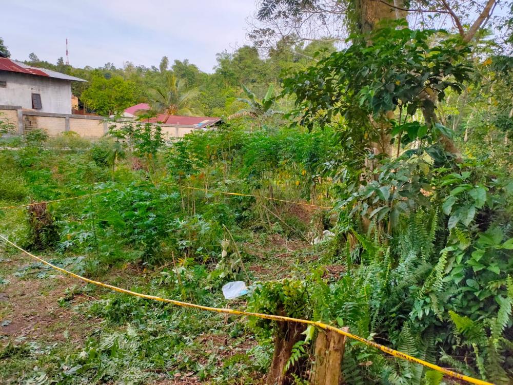 Breaking News : Heboh, Mayat Wanita Paruh Bayah Ditemukan Menggantung