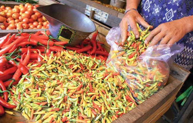 Harga Cabai Ditentukan â€œBandarâ€