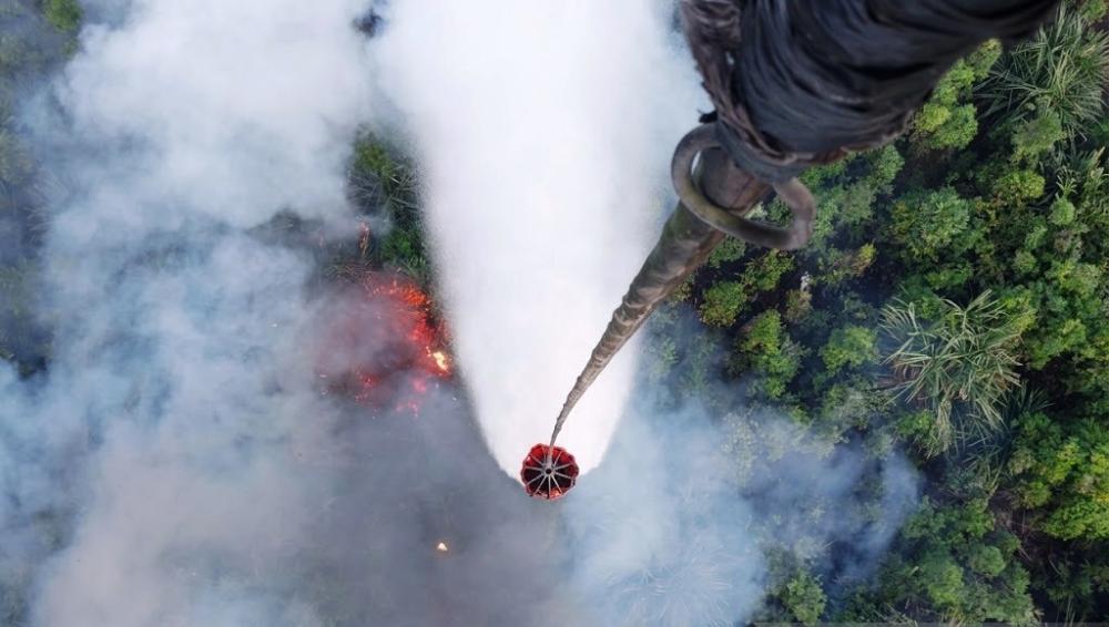 Enam Perusahaan di Kalimantan Kena Sanksi Karhutla, Satu dari Kalimantan Timur