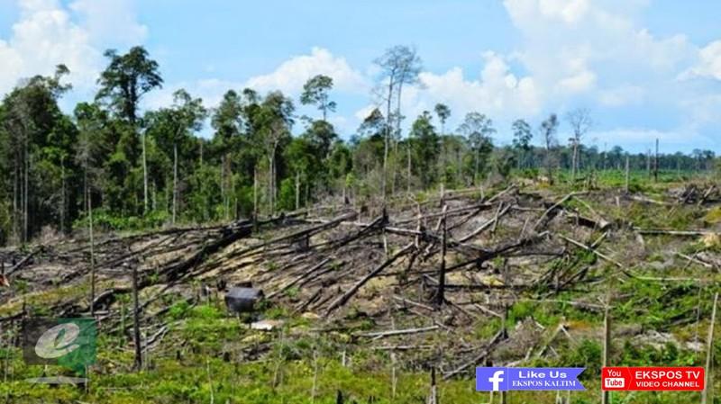 DI BONTANG, SEKITAR 400 ORANG KLAIM MILIKI TANAH DI KAWASAN EKS HUTAN LINDUNG