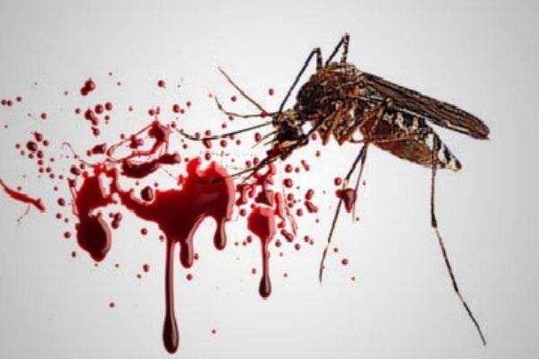 DITINGGAL ISTRI DAN ANAK AKIBAT DBD, AWALUDDIN BERUSAHA TEGAR