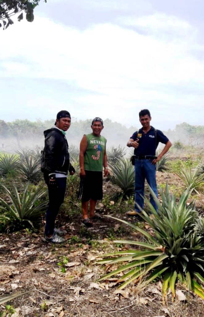 Bakar Lahan, Seorang Buruh Berurusan Dengan Anggota Intel Polsek Marangkayu