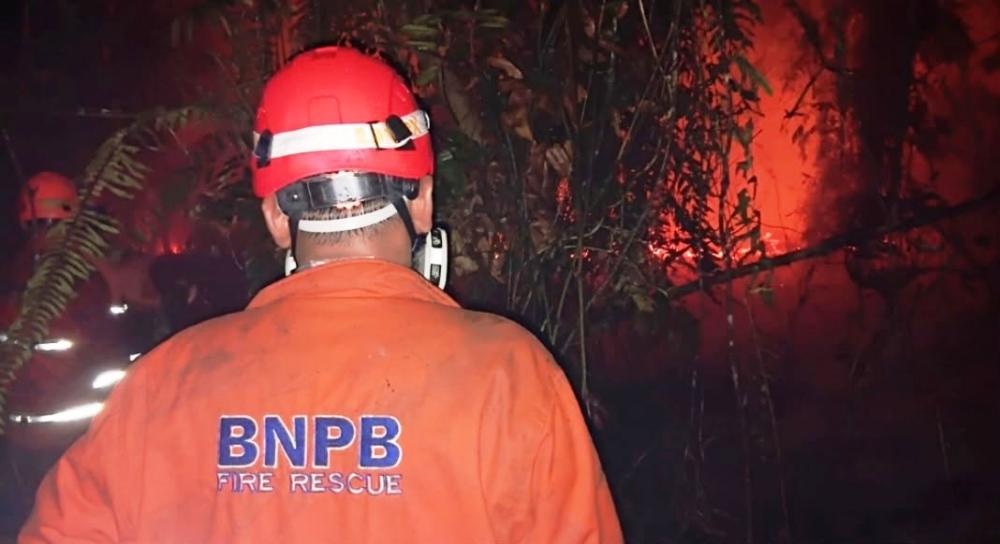 Karhutla Kaltim Tembus 8.516 Hektare, Syarifuddin DPR: Kita Enggak Bisa Tipu-Tipu