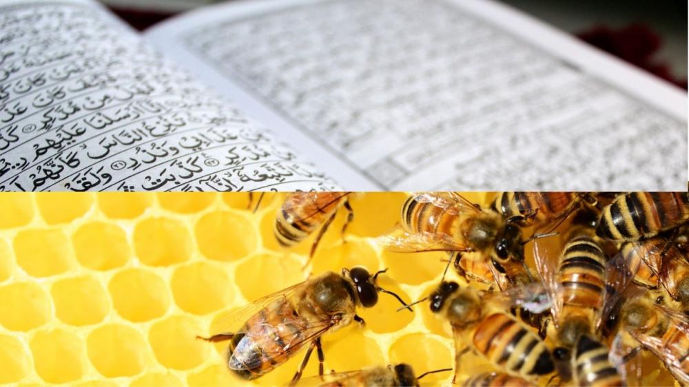 OPINI : Imunitas Bagi Jasmani dan Rohani di Tengah Pandemi : Madu dan Al Qurâ€™an