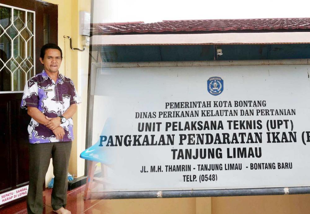 IKAN TONGKOL MENJADI PRIMADONA TANGKAPAN TERTINGGI NELAYAN BONTANG