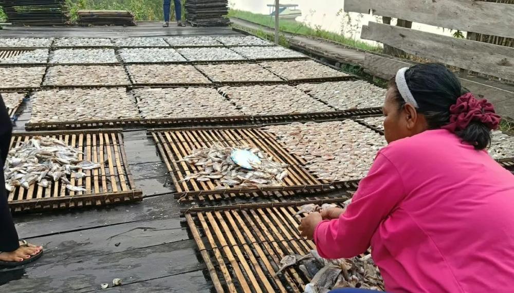 Tembus Pasar Pulau Jawa, Ikan Asin Desa Pela Kukar Laku 600 Kg per Pekan