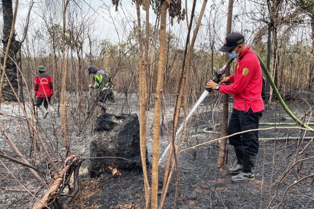 Sulitnya Menjinakkan Karhutla di Kawasan IKN, Medan Berbukit Jadi Kendala