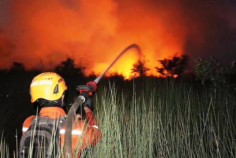 Menteri Hanif Heran Karhutla Kalsel Lebih Parah dari Kalteng-Kalbar