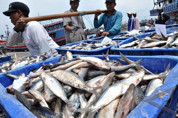Ikan Tangkapan Nelayan Bontang Mesti Dijual di TPI Tanjung Limau