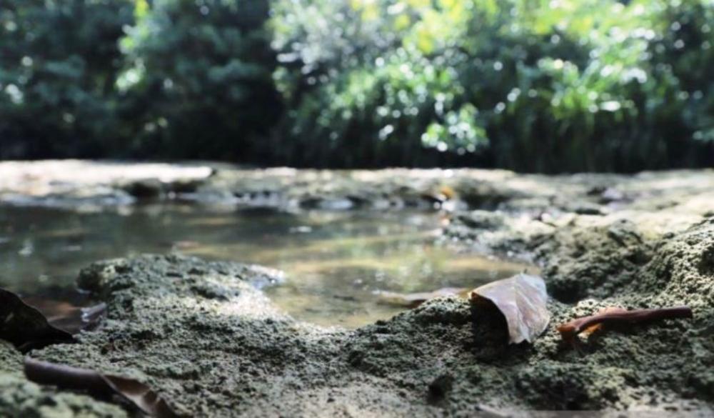 Bukan Ditambang, Karst Purba Dumaring Justru Jadi Mesin Ekonomi Warga Berau
