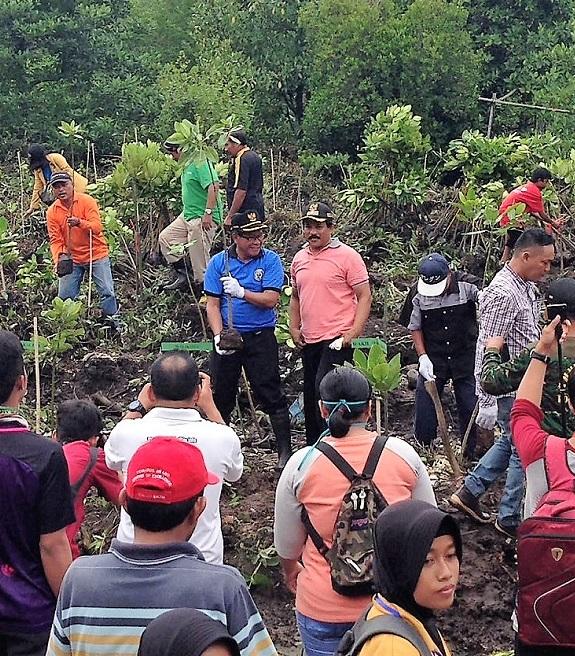 Dukung Konsep Kota Hijau, 400 Bibit Bakau Ditanam di Lembah Ujung
