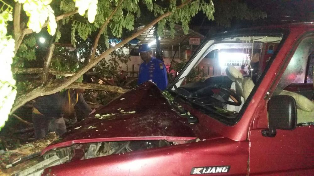 Diduga Kabur Usai Tabrak Lari, Mobil Kijang di Bone Hantam Pohon Tumbang