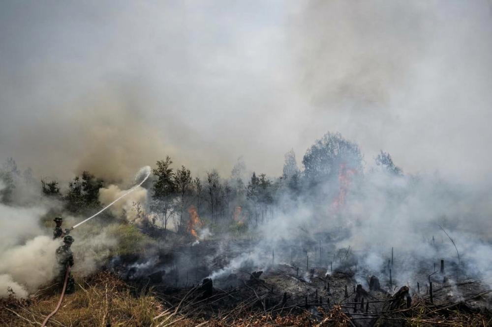 Cuaca Kalimantan: Potensi Hujan di Kaltim Dipetakan, Kalsel Waspada Rob