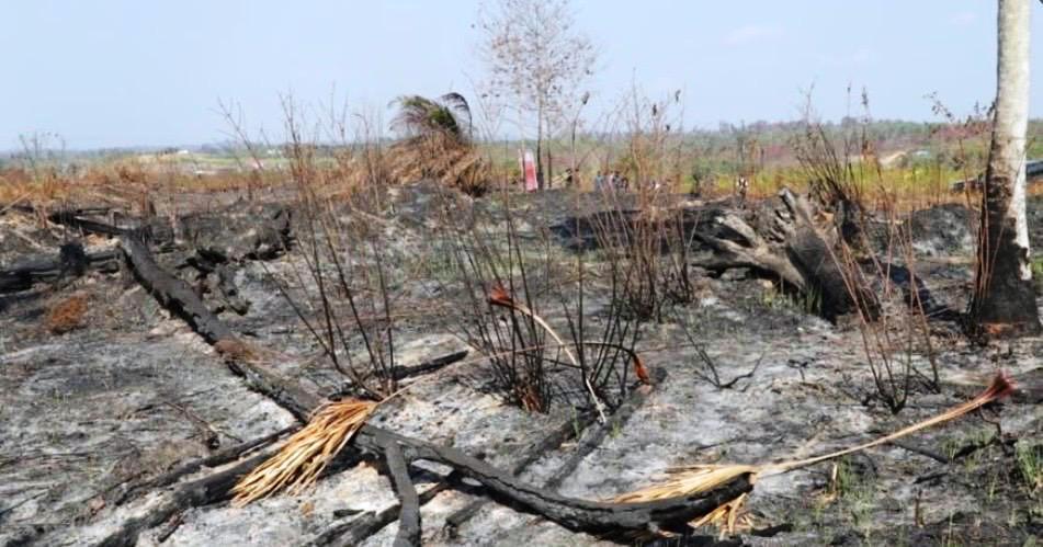 Status Darurat Kekeringan Samarinda Berakhir, DPRD: Ancamannya Belum Pergi