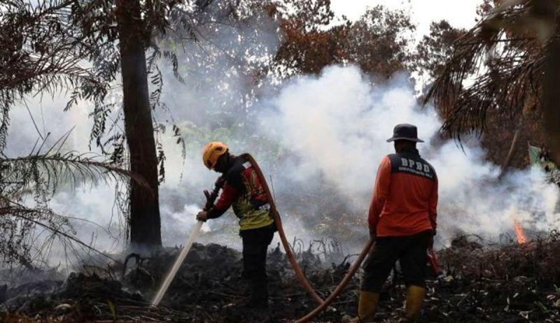 ISPA akibat Karhutla Tembus 333.470 Kasus, Udara Berbahaya Mengintai Kalimantan