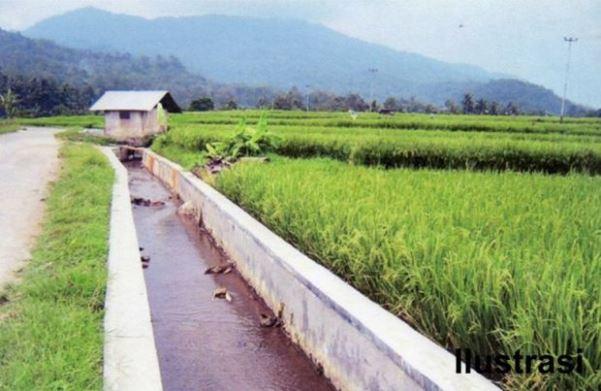 Pertanian Kaltim Dapat Kucuran Dana Rp162 Miliar dari APBN