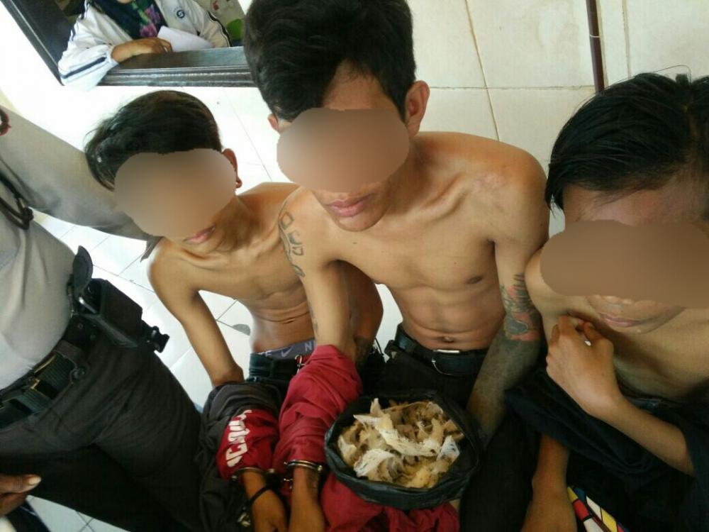 Curi Sarang Walet, 3 Remaja Bajoe Bone Dicokok Polisi