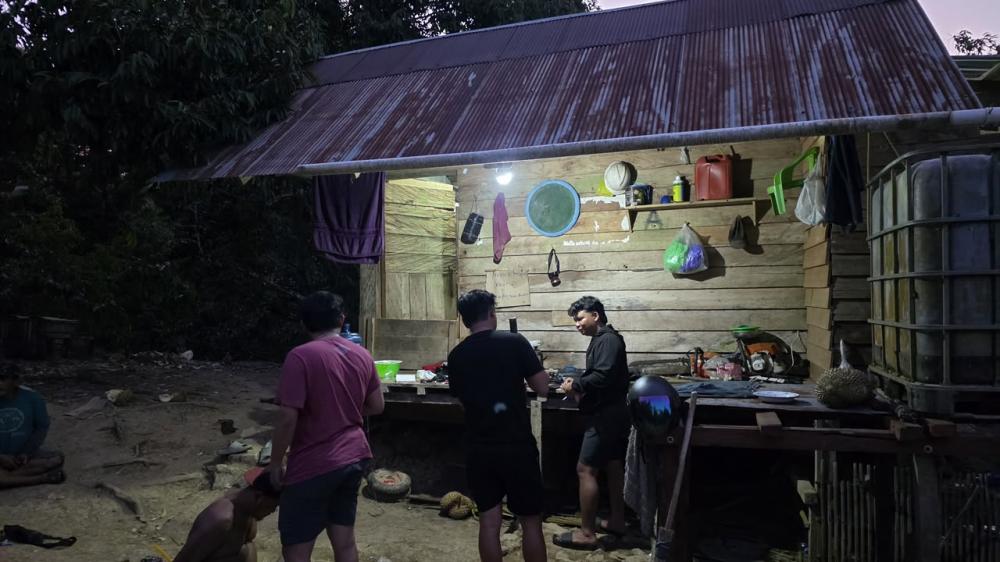 Penggerebekan Bandar di Kebun Durian Muara Badak: Pelaku Bersenjata Lolos ke Hutan