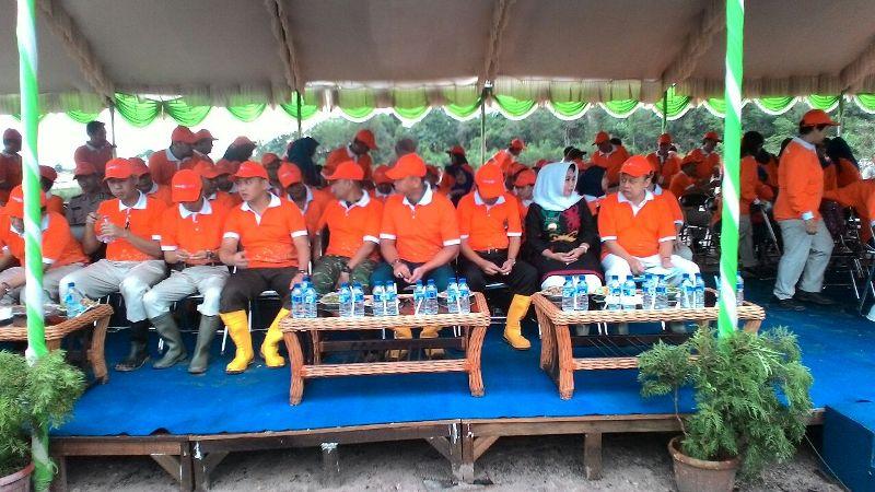 PUPUK KALTIM TURUNKAN 3.322 TERUMBU KARANG BUATAN DIDERMAGA PKT