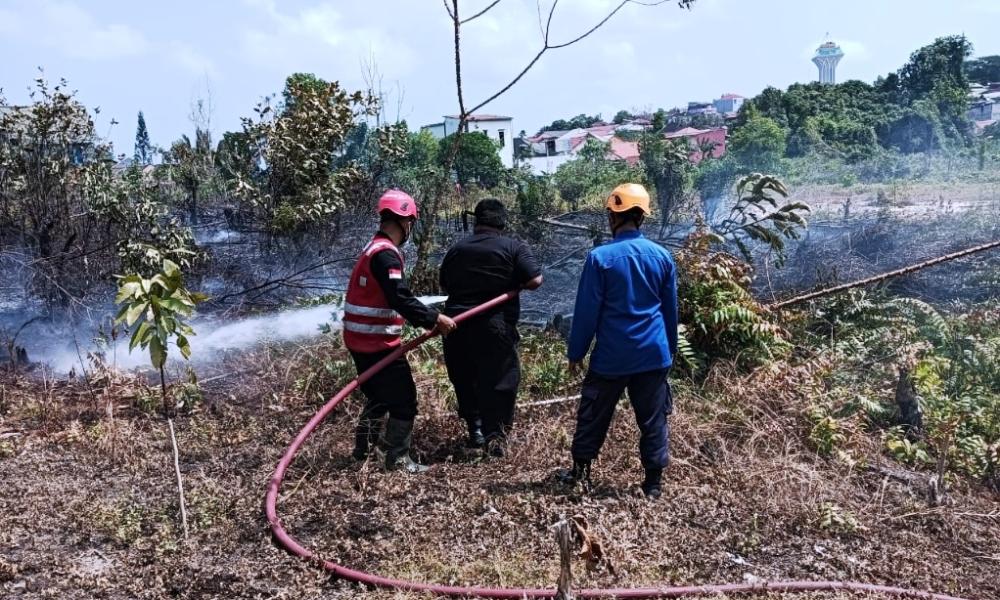 Karhutla Balikpapan Tembus 31 Titik, Semakin Dekati Hutan Lindung Sungai Wain