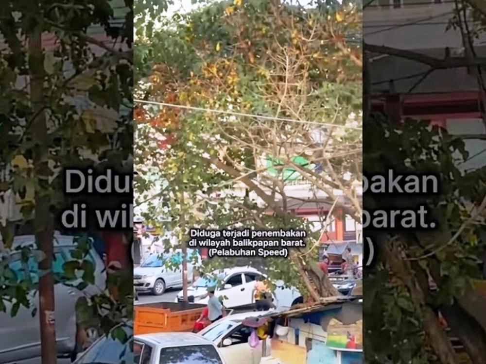 Viral Penembakan di Pelabuhan Speedboat Balikpapan, Polisi Amankan Pelaku dan Airgun